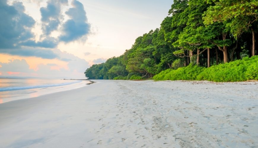 Amazing Andaman Tour Package